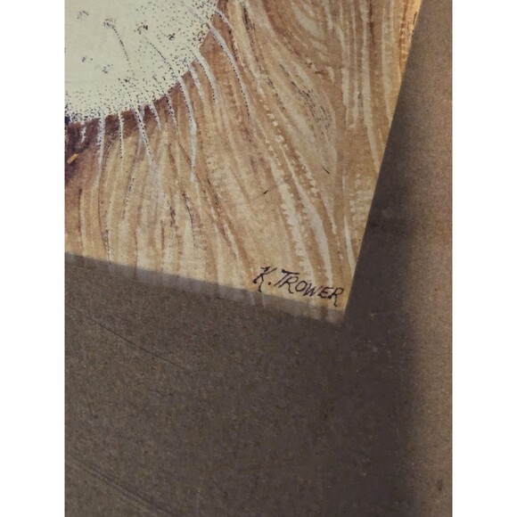 Framed Art Signed By K TROWER, Lion & Cheetah Vintage 70s 80s - Picture 5 of 13